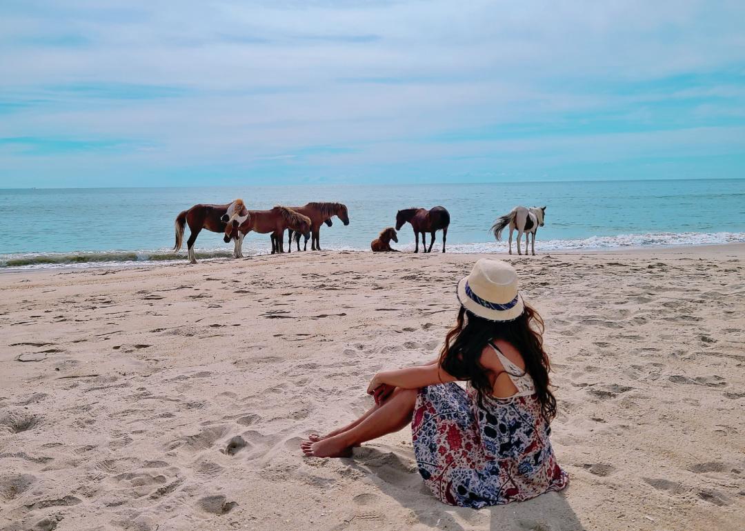 Tourist sitting on beach watching wild ponies.