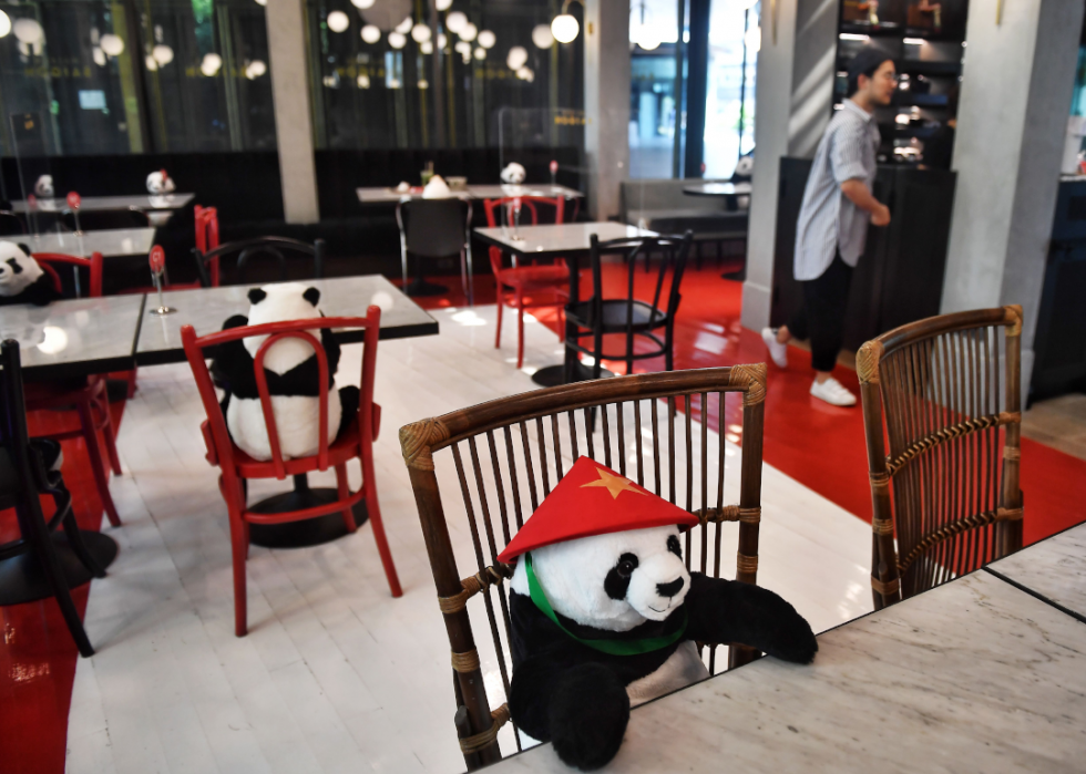 Panda restaurant 3. Панда находка ресторан. Ресторан Панда. Кафе Панда СПБ. Ташкент ресторан Панда.