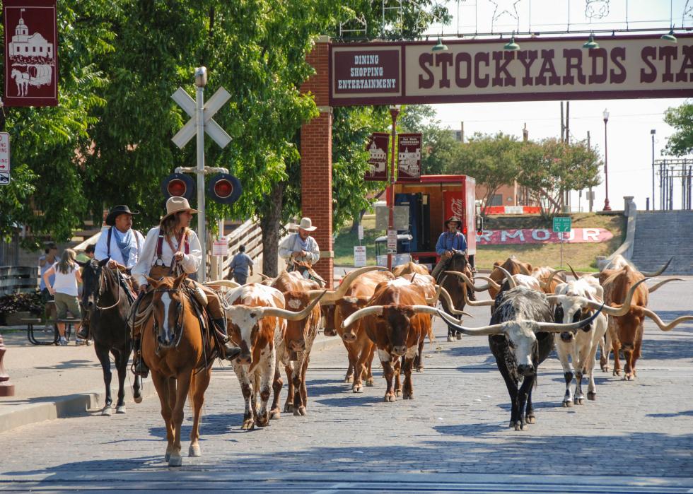 Historic Fort Worth Stockyards and Texas longhorn cattle.