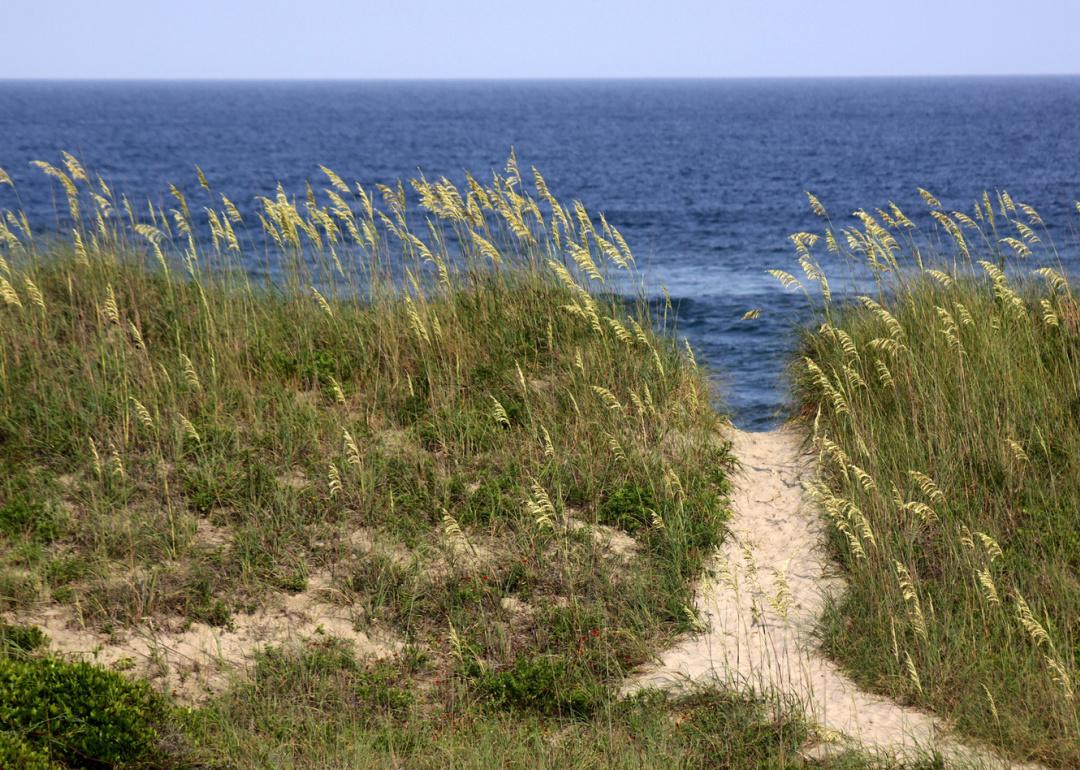 Path over dunes Outer Banks.