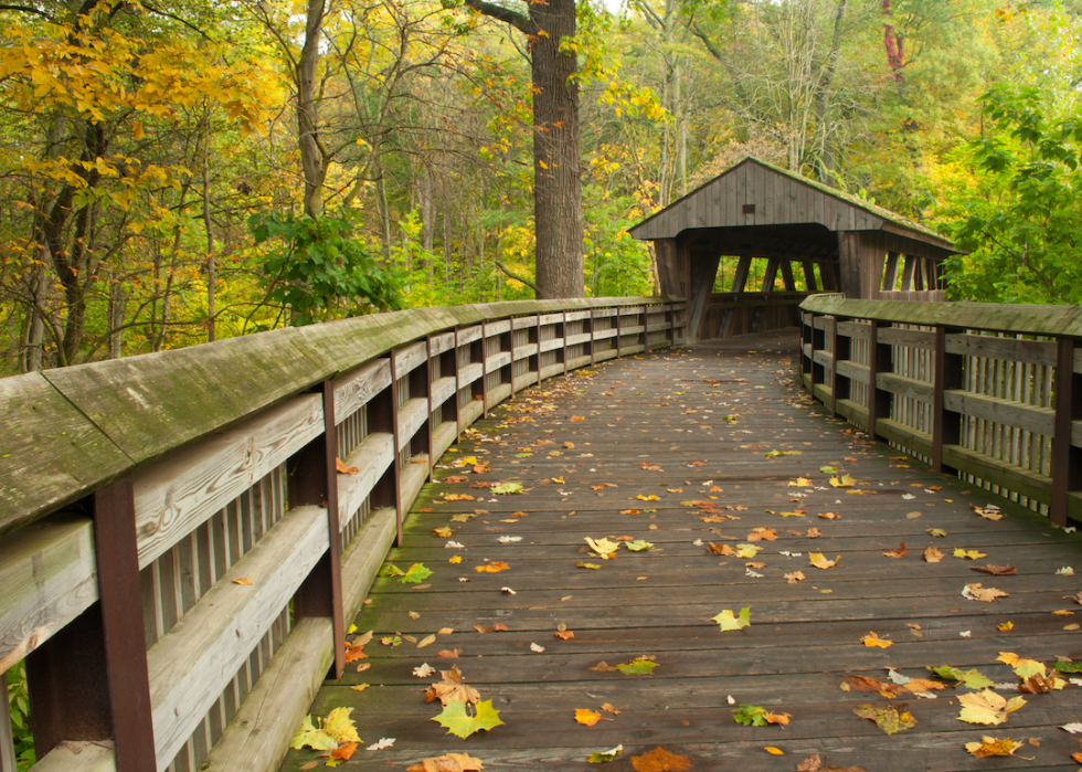 Bike path and covered bridge in fall