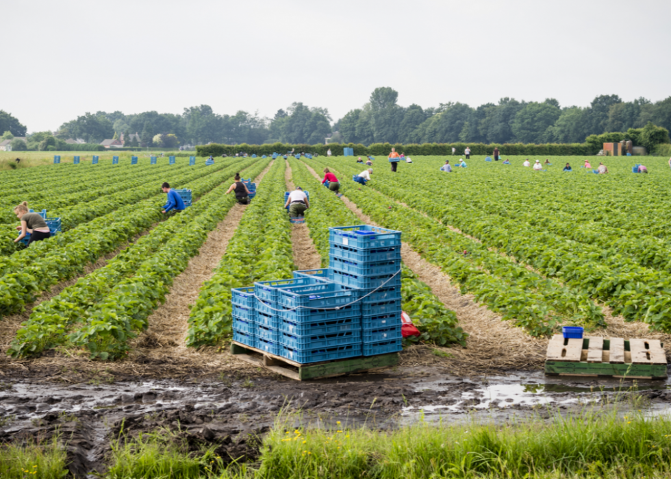 Highest paying jobs in Denver for high school graduates Stacker