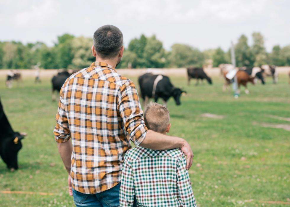 50 Fascinating Facts About Farming In America | Stacker