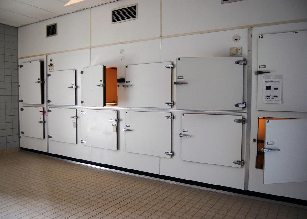 cruise ship morgue capacity