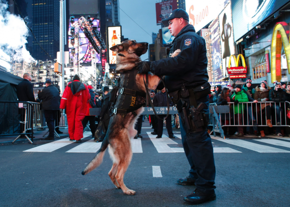 25 Jobs Where You Get To Work With Animals Stacker