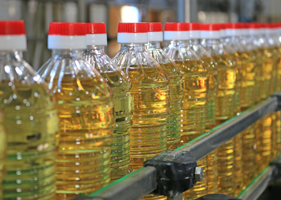 Bottles of sunflower oil on an assembly line