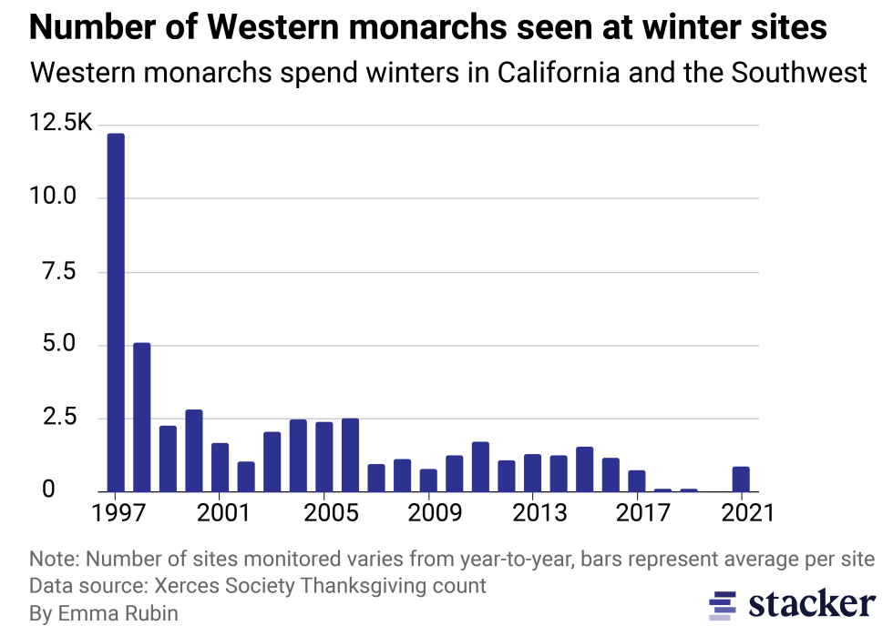 Bar chart showing decline of western monarch population counts