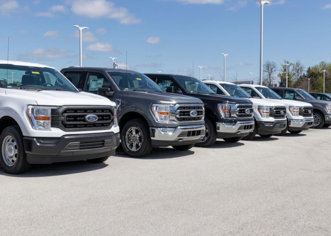 Several Ford F-Series trucks are parked side by side.