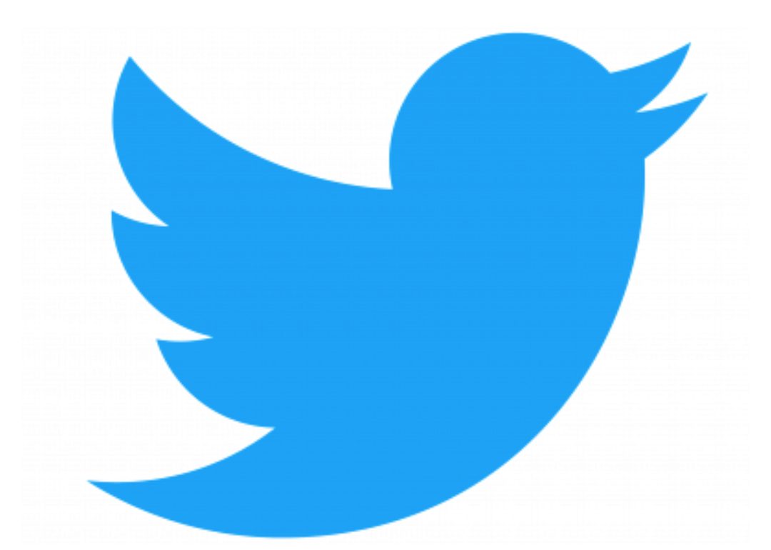Twitter bird logo.
