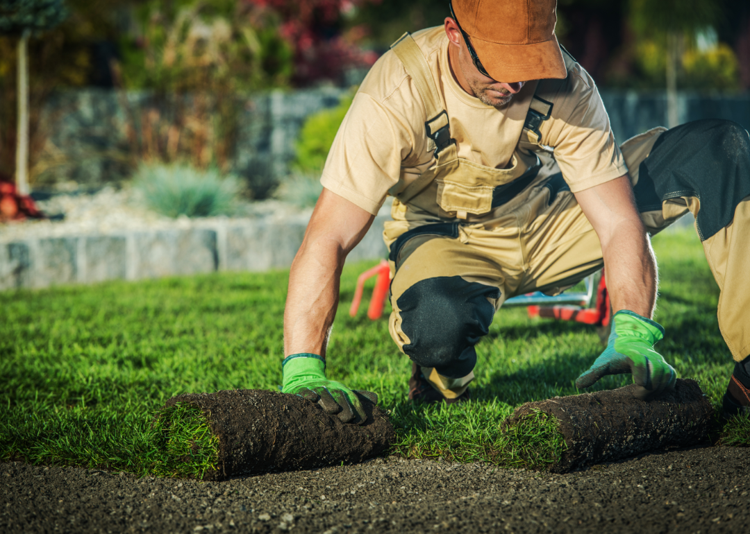 A landscaper lays down sod in a garden.