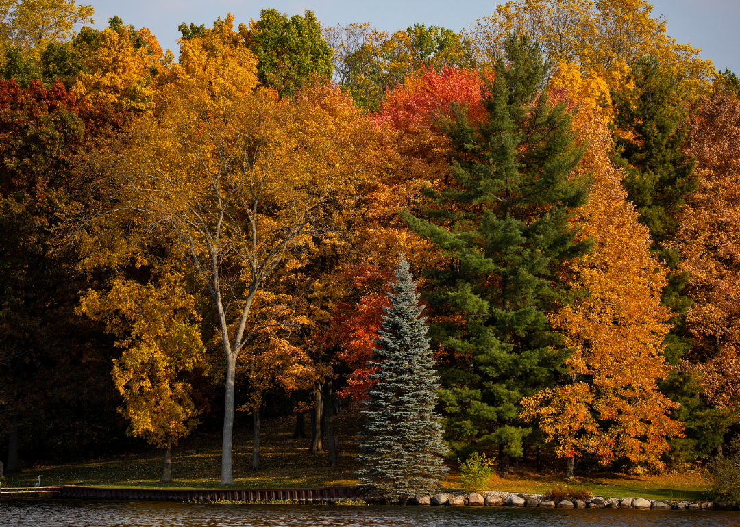 Fall foliage at Lobdell Lake in Genesee County, the same county where Beecher is located.