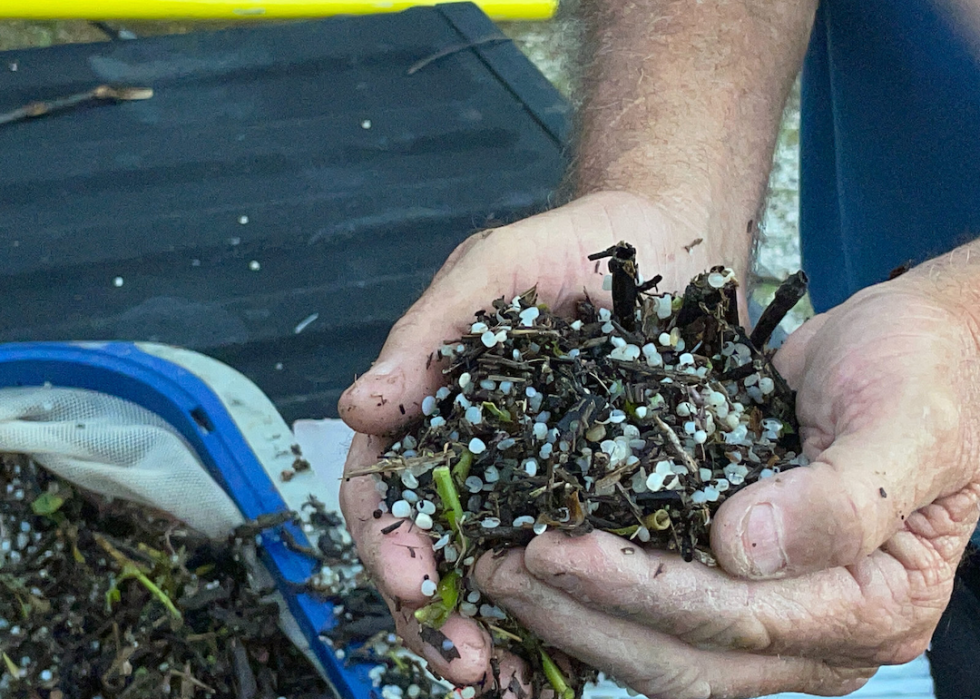 Wilson holds a pile of dirt containing hundreds of nurdles found in the Lavaca and San Antonio bays.