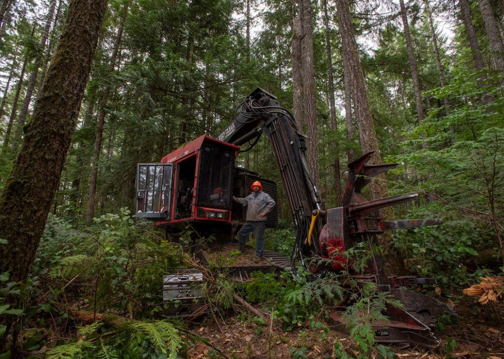 person posing for portrait working in the forest with logging machinery