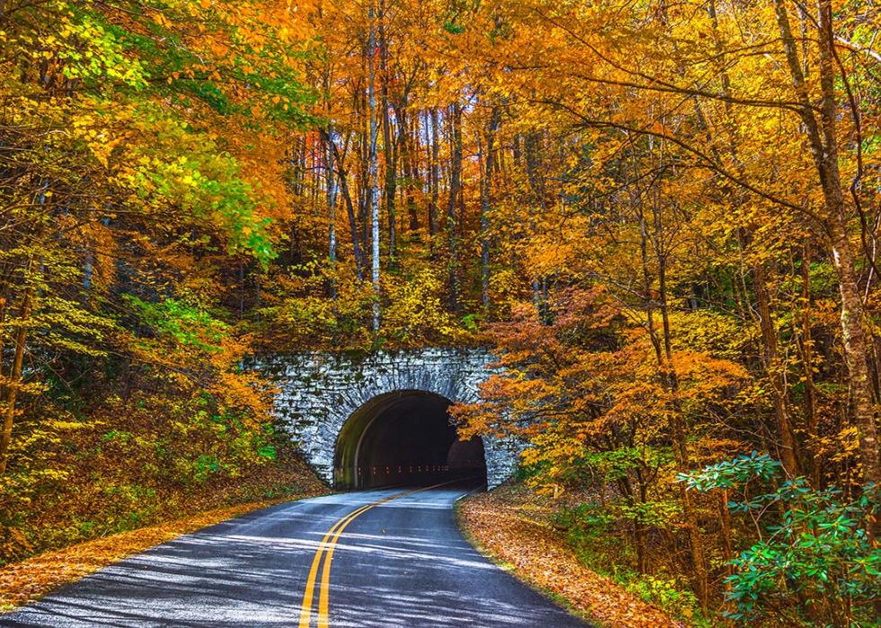 Blue Ridge Parkway Tunnel near Asheville, North Carolina during Autumn.