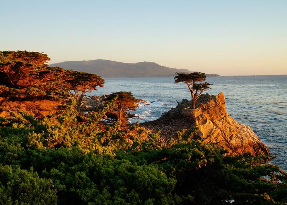 Sunset on the California coast lights the lone cypress on the 17-mile-drive near Carmel-by-the-sea.