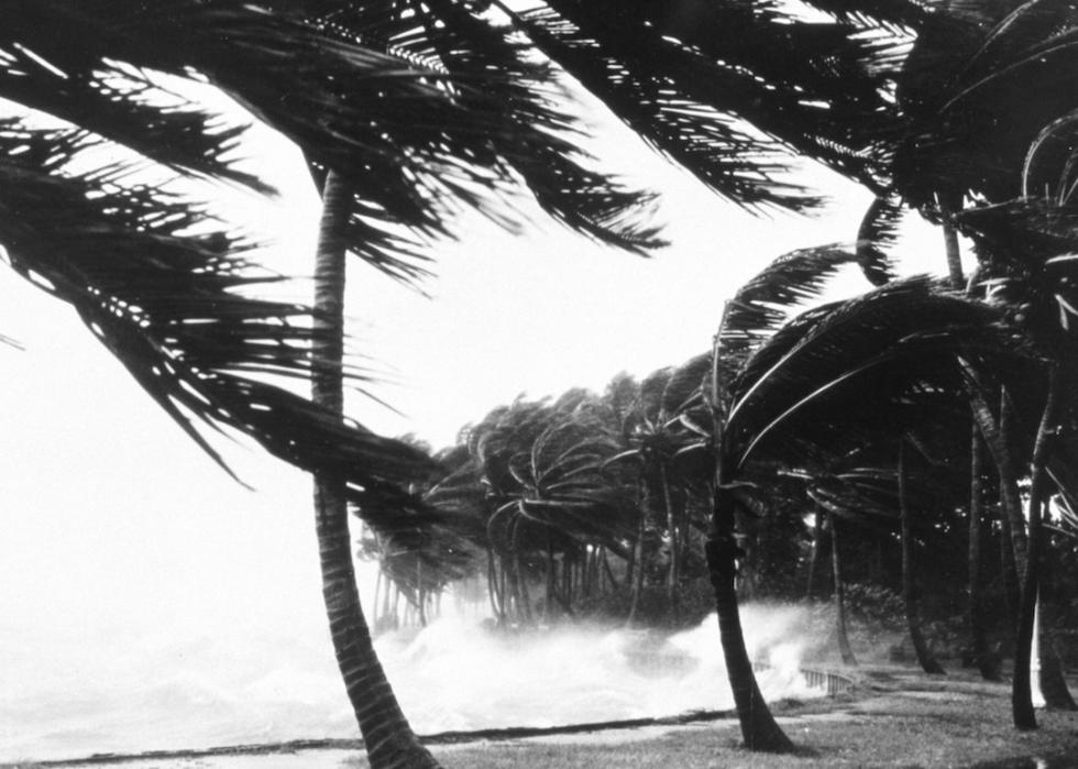 Photograph of the destruction of the seawall after a hurricane in Florida in 1947.