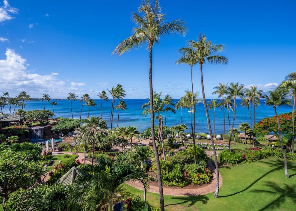 Towering palm trees of Ka'anapali Beach, located in Lahaina, Hawaii on the island of Maui.