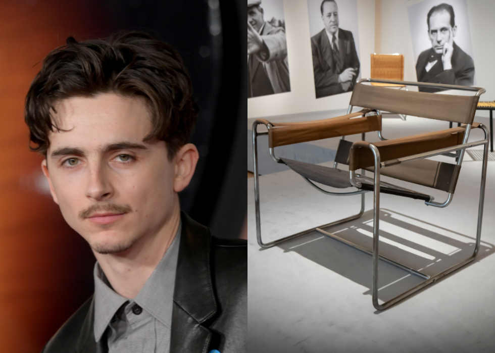 Composite image of Timothée Chalmet and Wassily Chair.