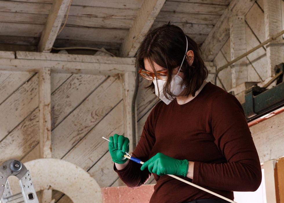 Field technician Maleen Mund swabs the roosts to check the bacteria.