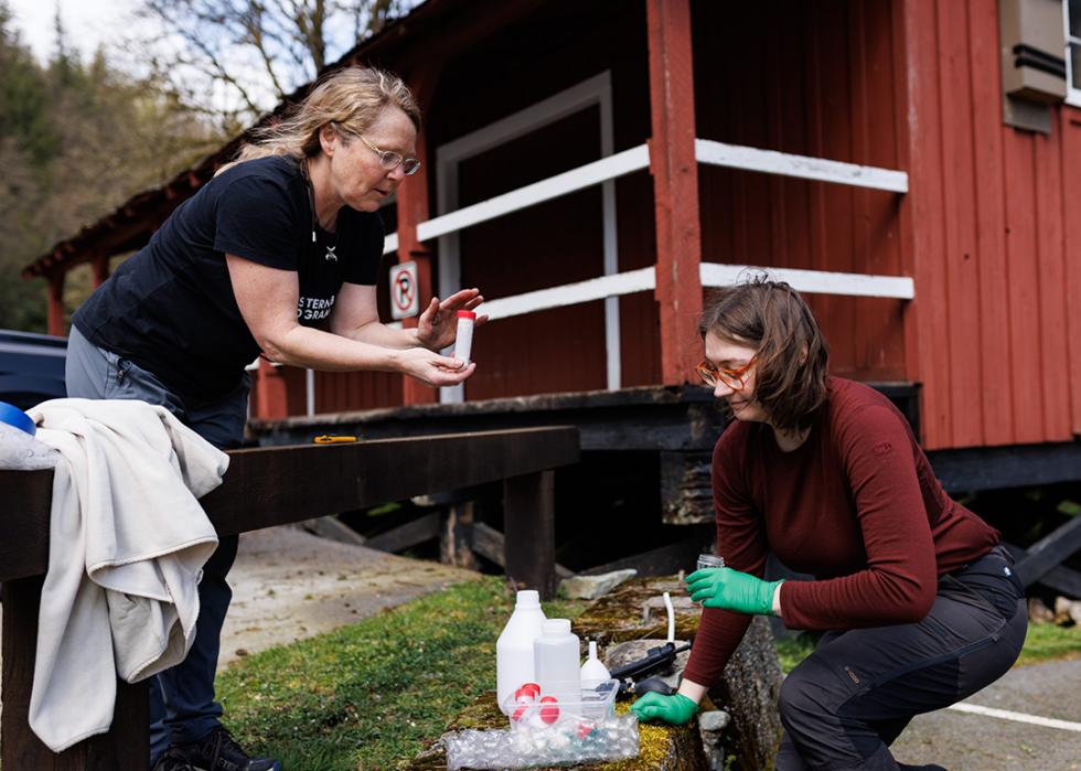 Bat biologist Cori Lausen, left, holds a small canister of probiotics mixed with clay as field technician Maleen Mund preps to apply the probiotic to two test bat boxes at their Hayward Lake site.