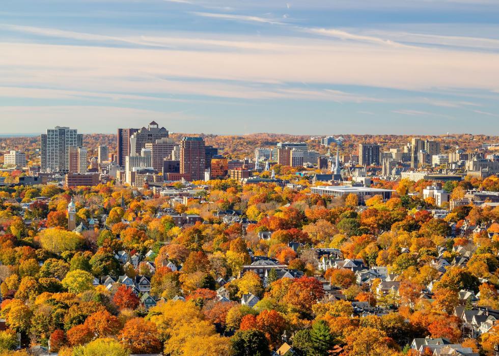 New Haven city downtown skyline cityscape of Connecticut, USA in autumn