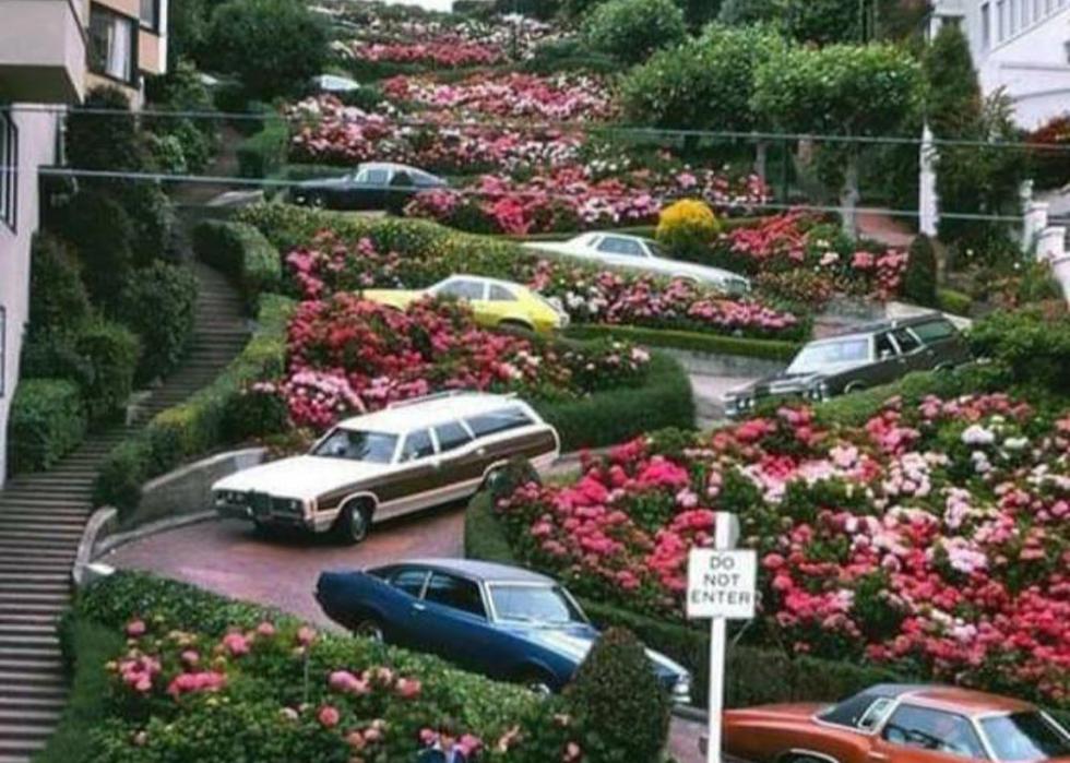 Cars winding down Lombard street in San Francisco