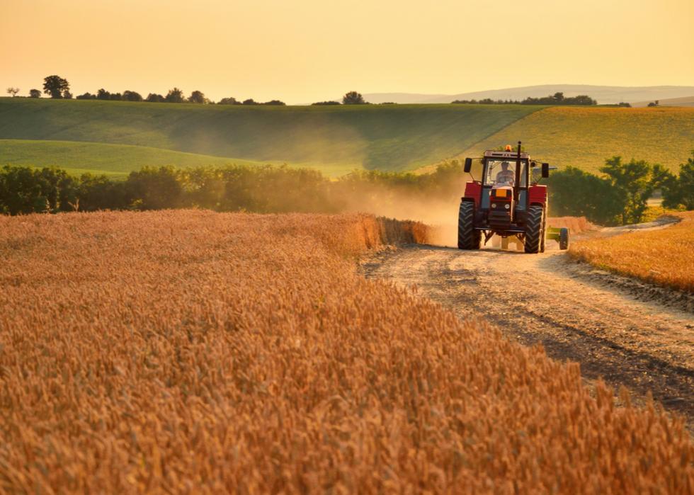 america farming