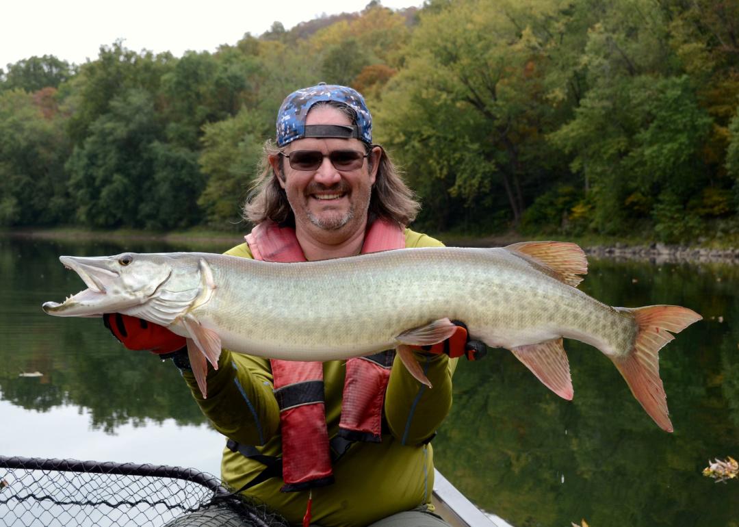 smiling person holding a large silver green muskie fish
