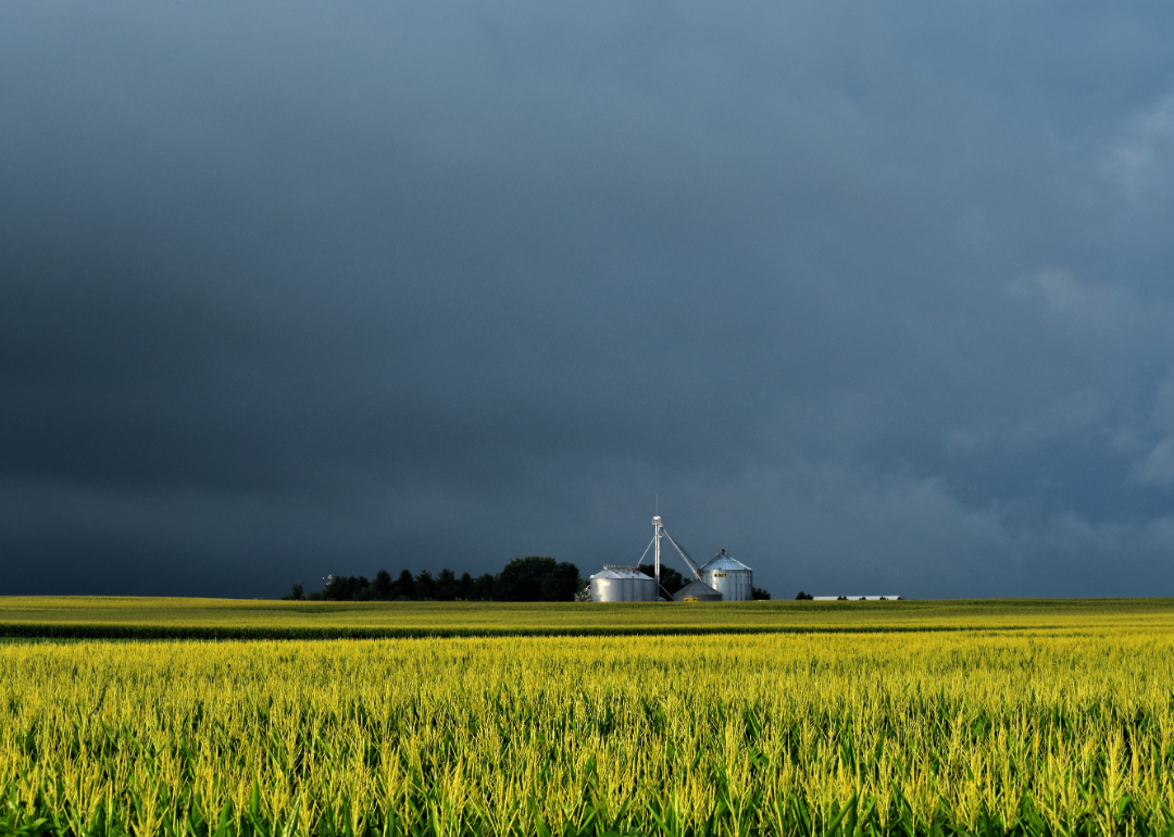 Eastern Iowa after heavy storms.