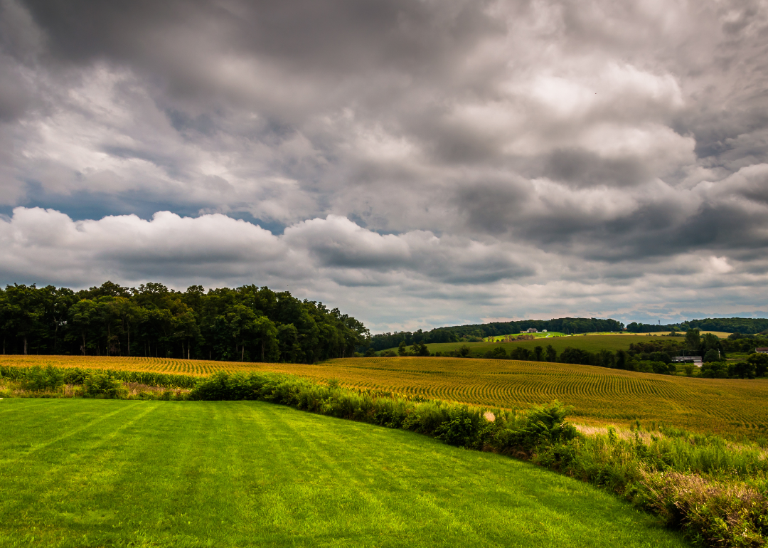 Storm over York County fields.