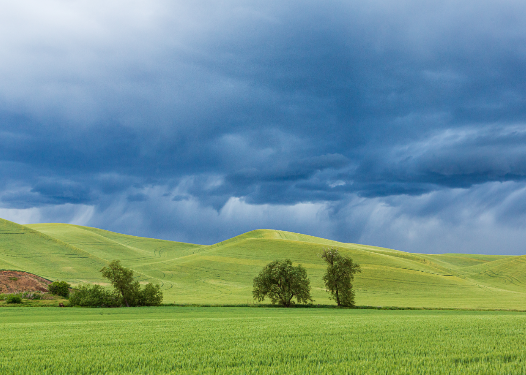 Rain clouds over Palouse.