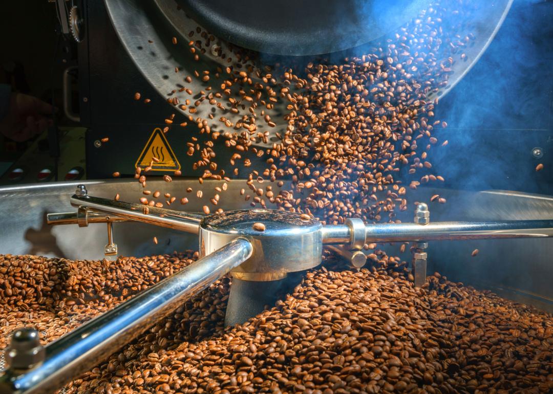 Freshly roasted coffee beans being cooled.