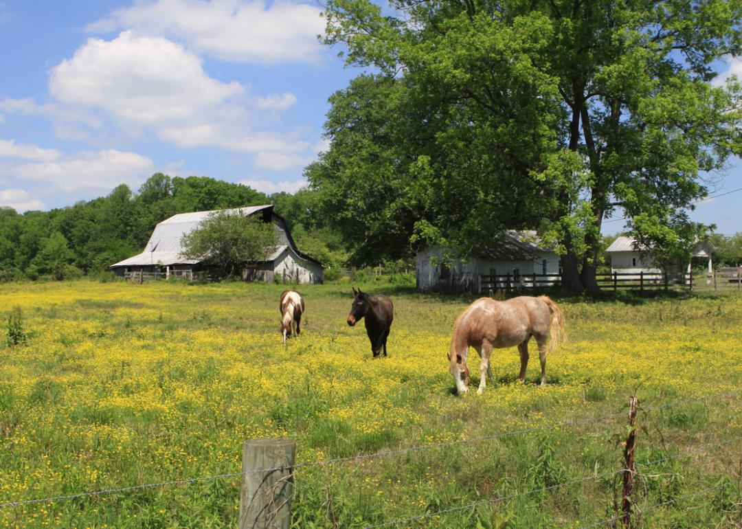 Rural barn and pasture.