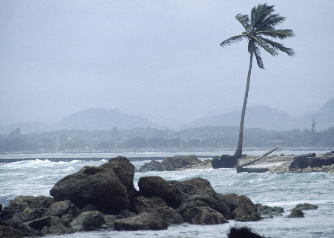 Stormy skies over coast.