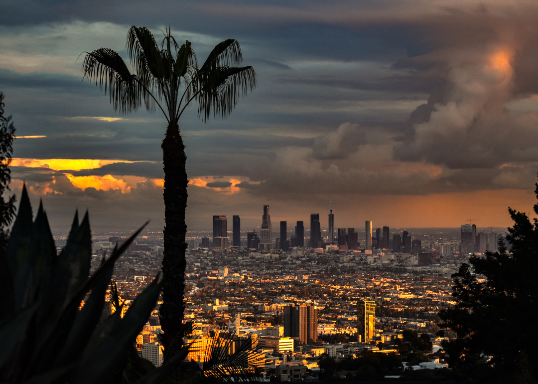 Los Angeles after storm.