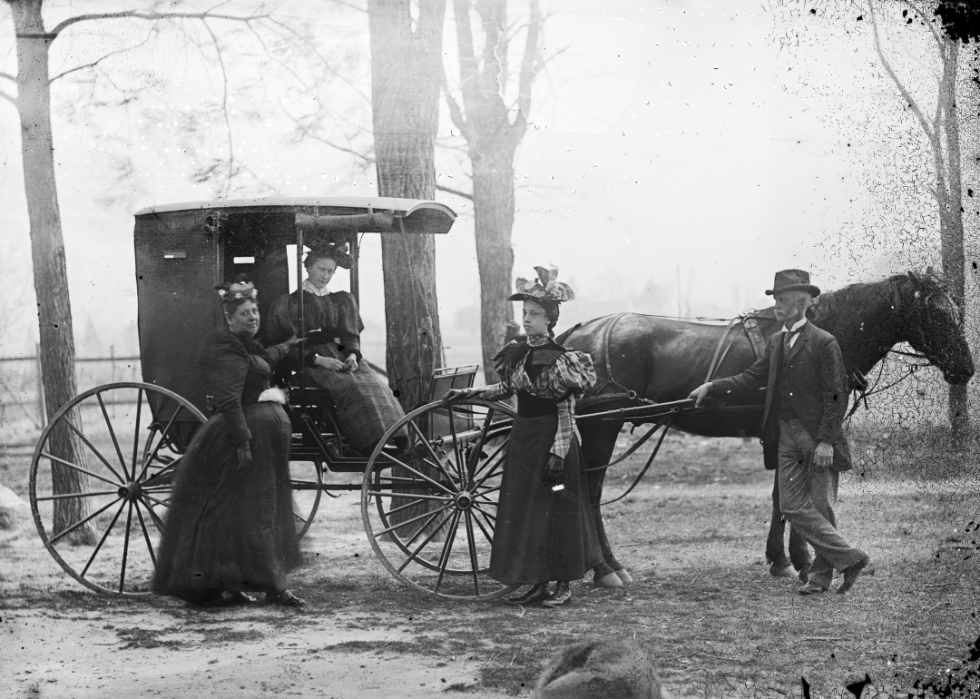 Woman seated in horse drawn carriage with three people standing