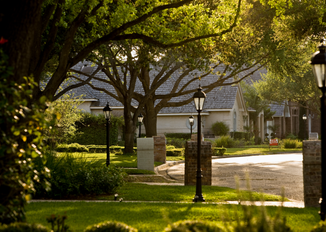 Tree lined suburban street