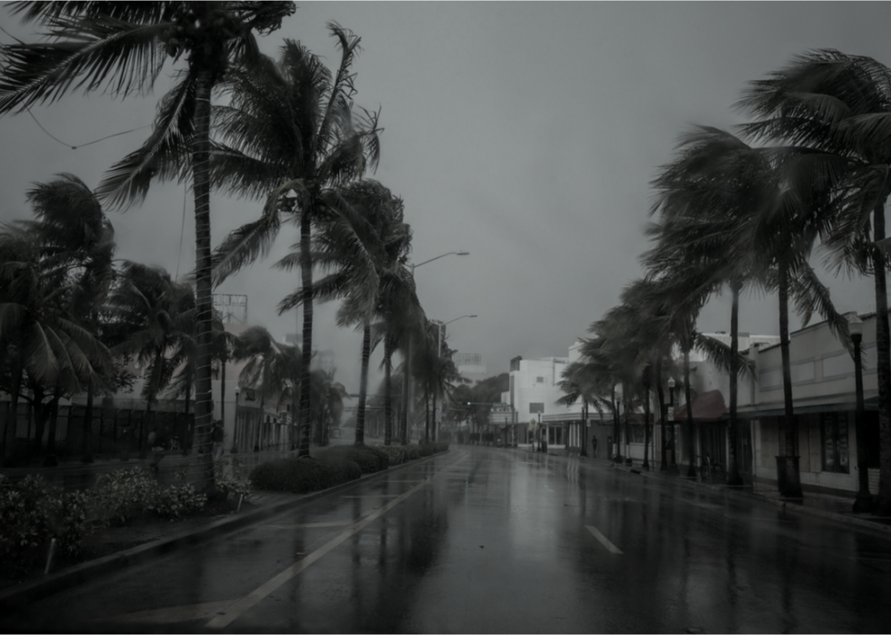 A dark street during a storm with rows of palm trees blowing in the winds.