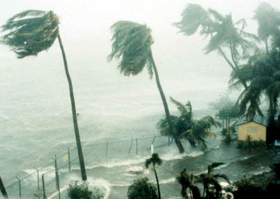 Waves crash into the yard of a partially submerged yellow home surrounded by slanted palm trees blowing in the wind. 