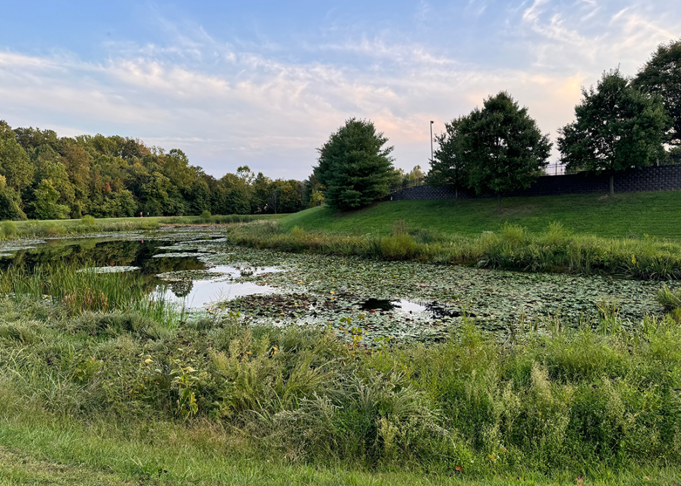 Lake and natural area in Fulton.