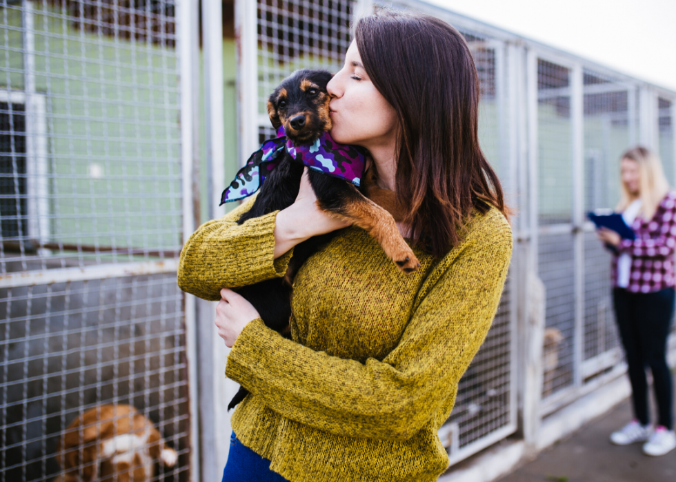 25 Facts About Animal Shelters in America | Stacker