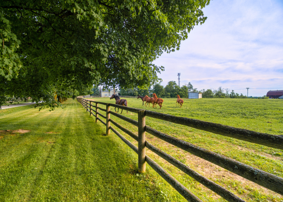 Horses running in a field with a house in the background.