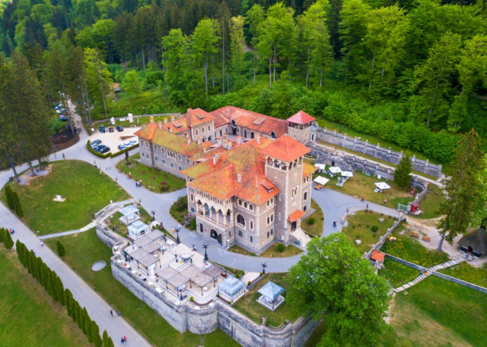 An aerial view of a large medieval castle surrounded by trees.