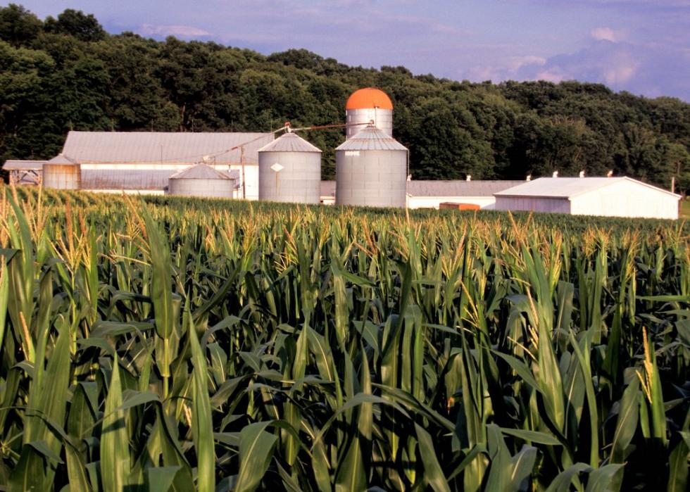 A field in Richland County, Ohio, where Shiloh is located.