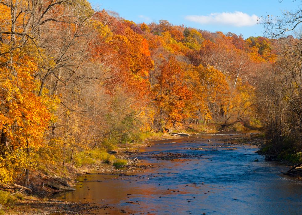 The Chagrin River in Gates Mills, Ohio, flowing through trees in autumn.