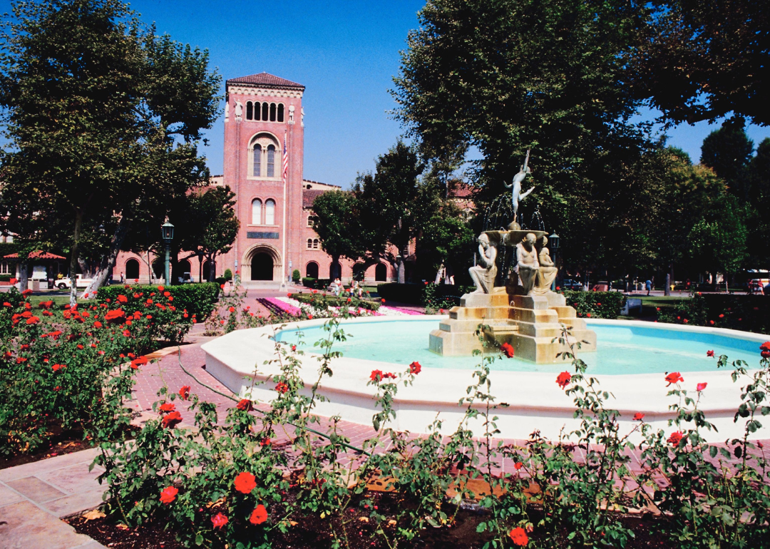 A water fountain surrounded by roses at University of Southern California.