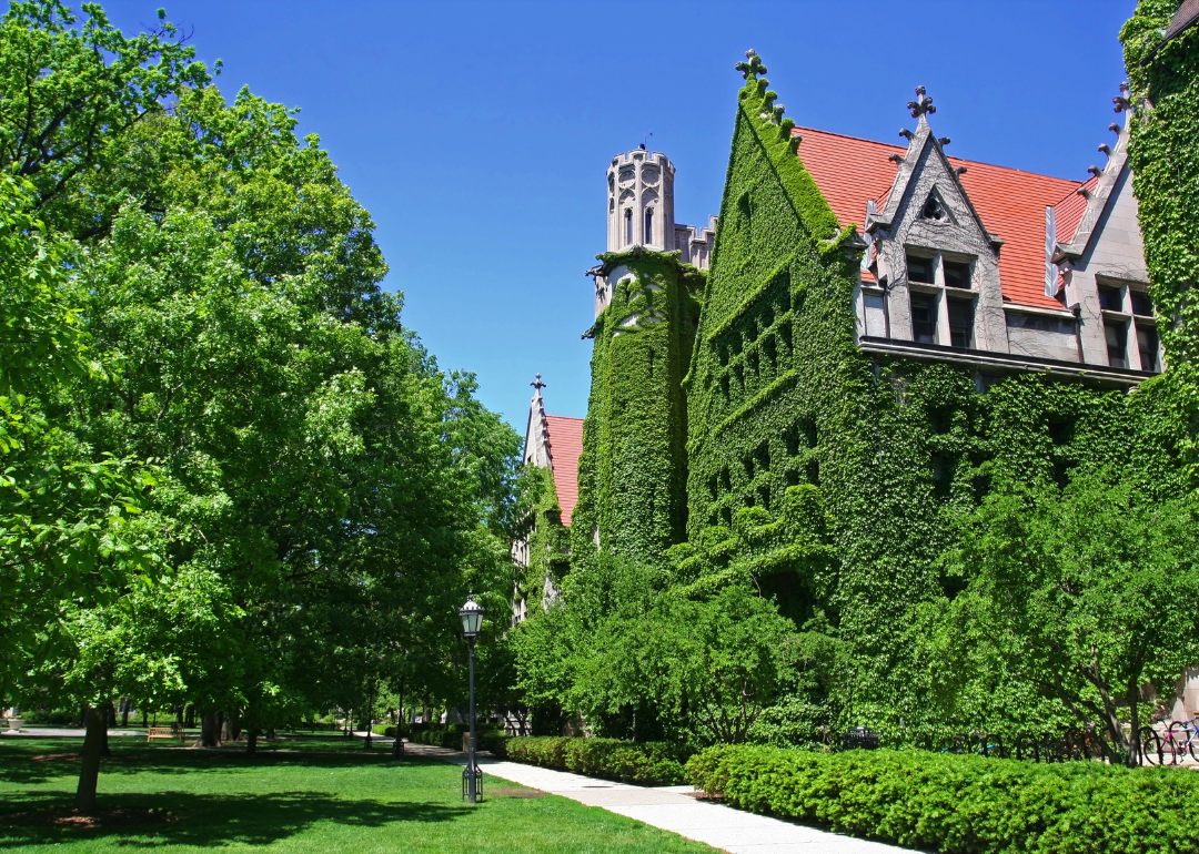 A historic stone building covered in green vines at University of Chicago.