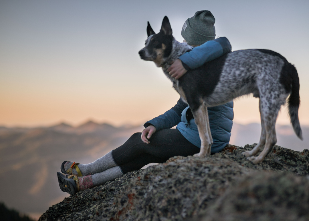 A person sitting on a rock in the mountains with a heeler mix dog.