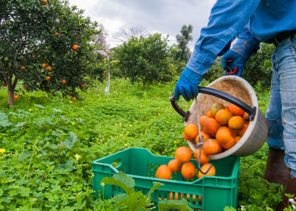 50 Fascinating Facts About Farming In America | Stacker