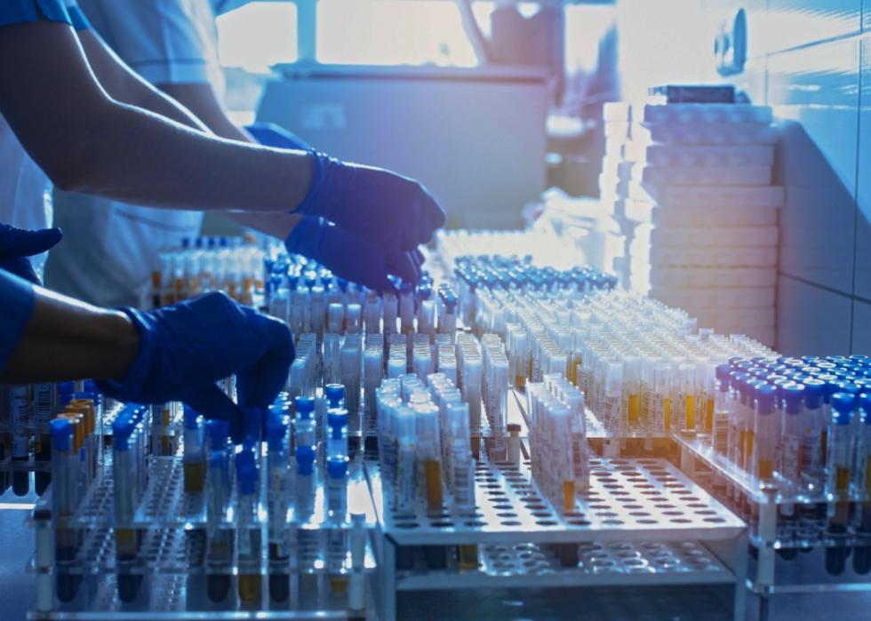 A close up of laboratory assistants hands in blue rubber gloves touching multiple tubes. 